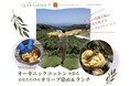 都会の喧騒を離れ、心と体を癒すリトリート体験を国東で——オーガニックコットンを彩る「オリーブ染め&ランチ」イベント開催!
