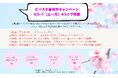 VIVA STELLA 春休みキャンペーン