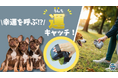 愛犬家必見!簡単&清潔な散歩アイテムが登場〜Makuakeで新プロジェクト開始〜
