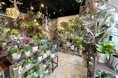 買って終わりじゃない。植物を”育てる”楽しさに寄り添いたい ~神戸の観葉植物店はオープン1周年。一緒に学べて気軽に相談できるサービスも好評~