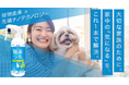 大切な家族のために、気になる菌やニオイをこれ一本で丸ごと対策ペットまわり専用の除菌・消臭スプレー「除菌ラボ ペット用」を新発売