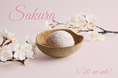 ココナッツグレン、春の訪れを感じる期間限定フレーバー「Sakura」を3月20日(木)より発売!