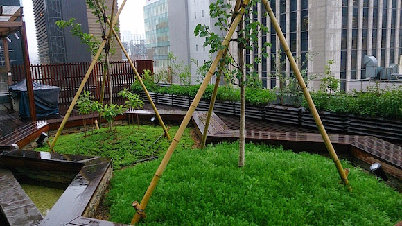 馬糞堆肥を活用した屋上緑化「銀座ミツバチプロジェクト」