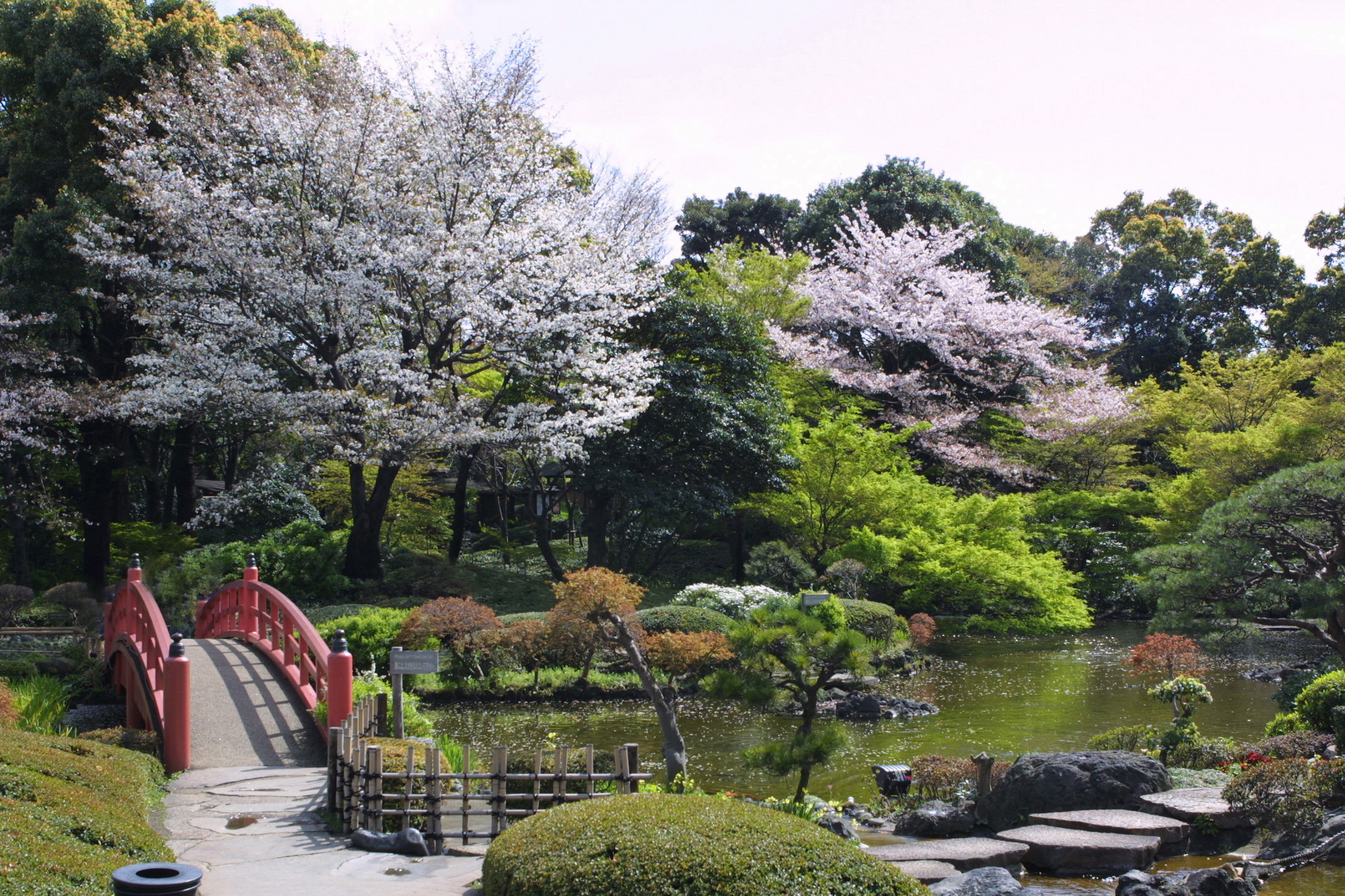 ホテルニューオータニ 東京 春爛漫のレストランメニュー New Otani Blossom 春 桜めぐり 株式会社ニュー オータニのプレスリリース