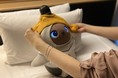 大人気の着せ替えも！家族型ロボット「LOVOT」と過ごす"宿泊オプション"で身も心もポカポカに