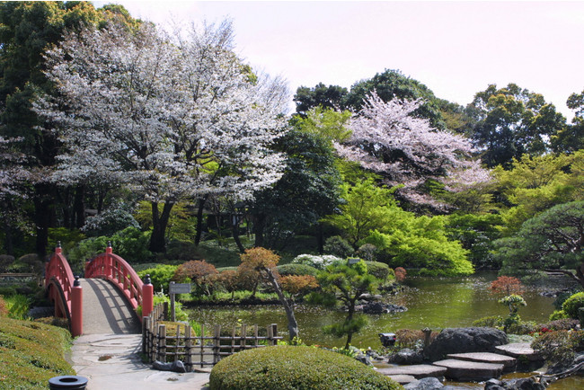 ホテルニューオータニの日本庭園 ホテルニューオータニの日本庭園