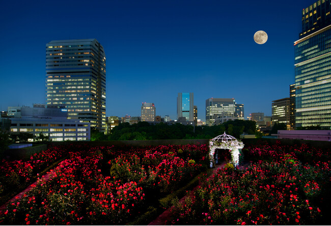 写真はイメージです