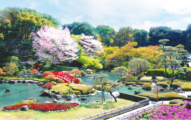 ※画像はイメージです。 ※画像はイメージです。