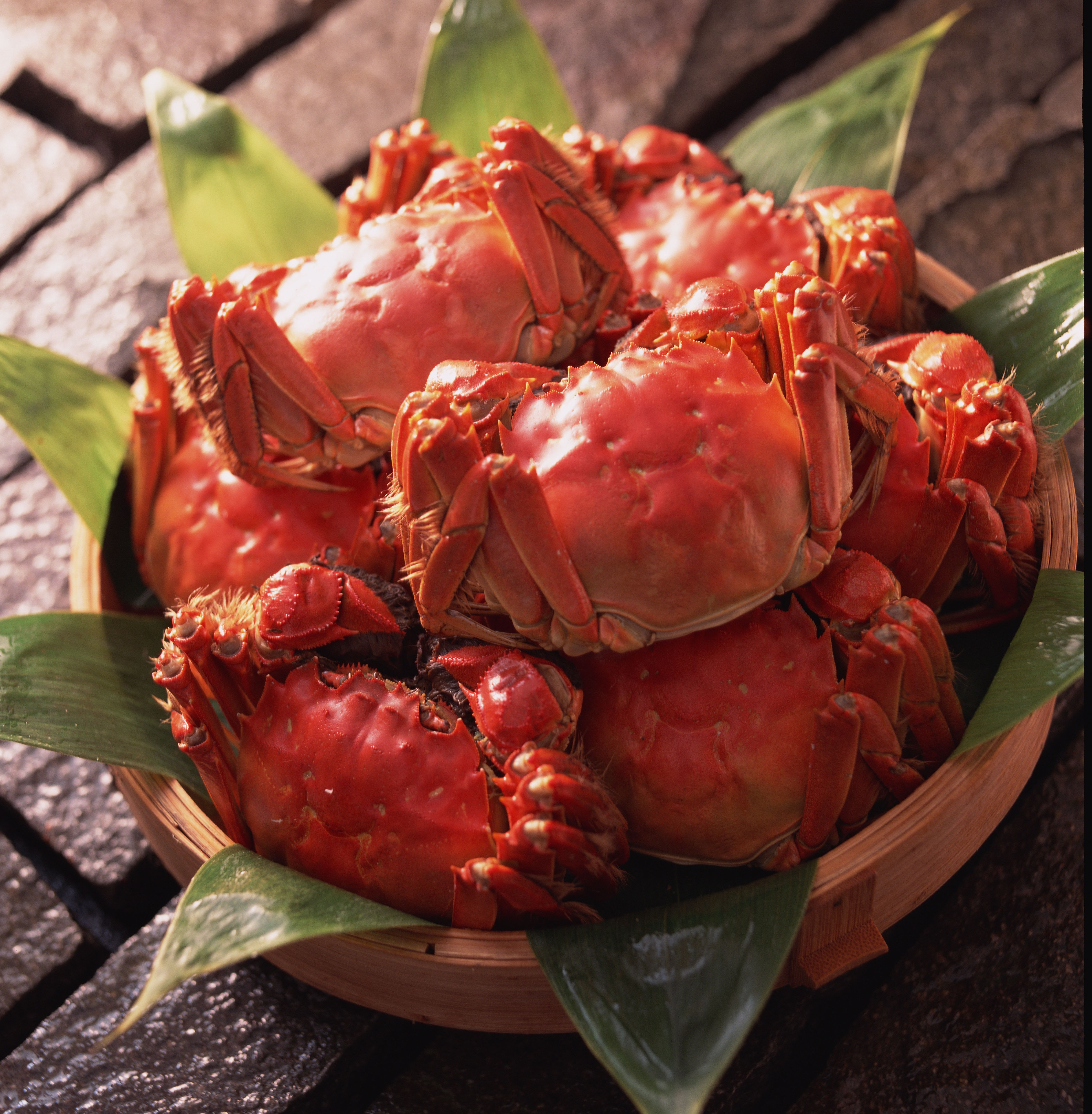 上海で最も名高い上海蟹料理店の老舗が再来日 王宝和大酒店 上海蟹フェア 開催 株式会社ニュー オータニのプレスリリース