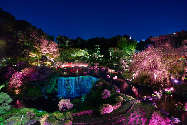 ライトアップされた日本庭園