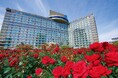 3万輪咲く"都心の秘密の花園"を限定公開!秋の行楽シーズンは「レッドローズガーデン」へ