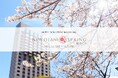 桜をまとった美食と美酒で贈る“お花見体験” が3/1よりスタート!