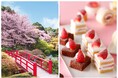 桜の季節からGWまでいちご尽くし!"絶景×スイーツ"の最強ビュッフェが延長決定!