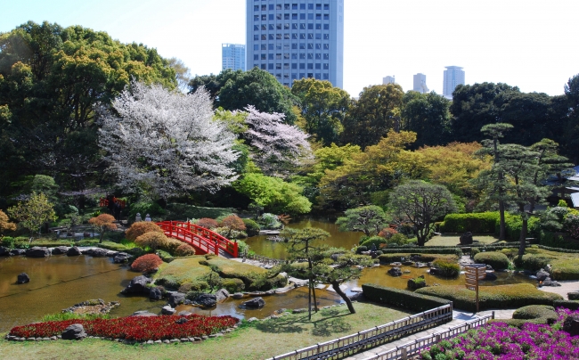 桜の季節の日本庭園