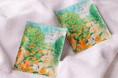 夏の疲れを癒す金木犀。秋の香り感じる宿泊プラン、本日より販売開始!
