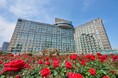 開園から25周年。秋は3万輪の赤薔薇が咲くRed Rose Gardenへ!