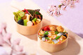 “花より団子”を、上質に。春を味わう『春爛漫弁当』期間限定販売