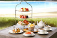 愛犬と至福のティータイムを！プールサイドの心地良い風に癒されるGW限定“いちごアフタヌーンティー”登場