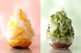 “頭キーン”知らず！まるで綿雪な極上かき氷に、待望の抹茶フレーバーが新登場