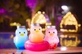 これぞ究極の夜活！“3種の＋α”でナイトプールを贅沢に愉しむ『プールインクルーシブプラン』新登場