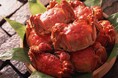 美食家たちが一年間待ちわびた“秋の至宝”。黄金に輝く極上の蟹味噌を味わい尽くす『上海蟹フェア』を上海料理店「大観苑」にて開催