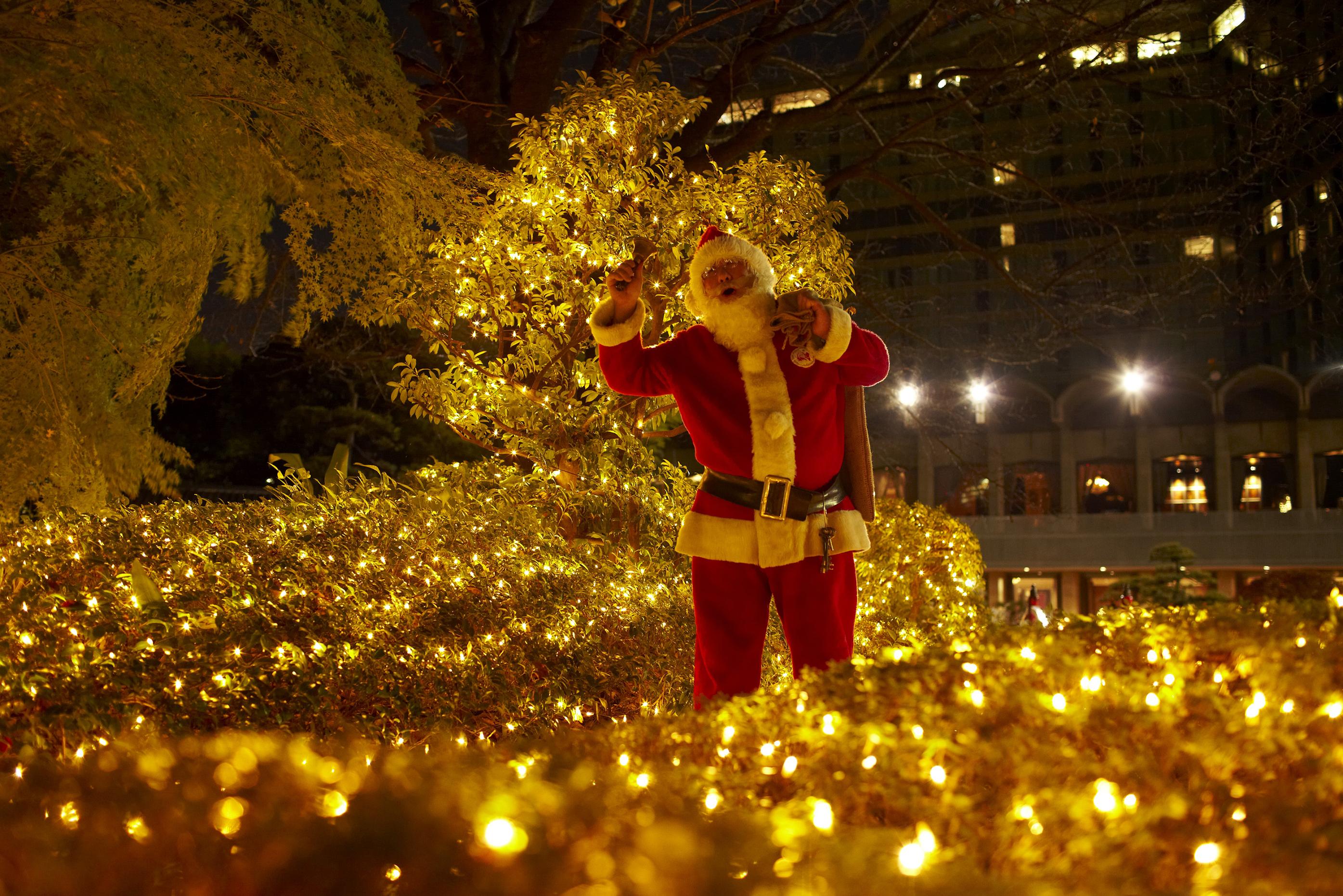 ホテルニューオータニ 東京 今週末開催 クリスマスライトアップ点灯式 株式会社ニュー オータニのプレスリリース