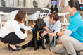 RGAリインシュアランスカンパニー日本支店「補助犬の日」に「ホスピタル・ファシリティドッグ®」の育成支援活動を実施