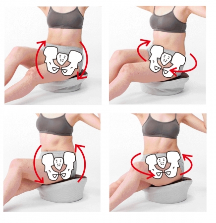 大学・研究機関と骨盤を科学する共同研究ブランド「Labonetz（ラボネッツ）」～骨盤周りの筋肉を前後・左右・縦に8の字運動～座ってできる本格エクサオシリズム  セルフタイプ 2016/8/22発売 | 株式会社ドリームのプレスリリース