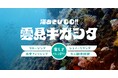 伊豆の秘境「キガシタ」で、人数限定、楽しさてんこ盛り海あそび企画を開催！