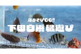 普段は入れない絶景磯場で磯あそび！下田白浜にて２日間限定の生き物いっぱい特別体験