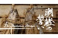 漁業体験＆遊漁の新感覚ツアー「潮鰹の誓い」をトライアル開催