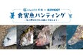 釣った食害魚を食べよう&地域通貨に交換!海釣りGO 仁科漁港新企画「食害魚ハンティング」