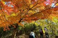 東大阪ツーリズム振興機構が参画する生駒山ブランド推進協議会、東大阪市・生駒市にまたがる「生駒山」を訪れるハイカーに向けた、「いこまやまいこ!」入浴キャンペーンを実施