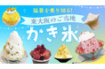 「ピカッと東大阪」イチオシ【夏限定】猛暑を乗り切る！東大阪のご当地“かき氷”