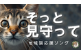 動物愛護週間特別企画：地域猫をAIで応援するプロジェクトが始動！地域猫応援ソングAIミュージックビデオをYouTubeで公開