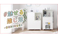 K-POPアイドルファン必見!狭い部屋でも“推し活”を楽しめる、魅せる収納家具『オシスキ』が新登場!