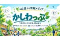 柏市特化の地域情報メディア「かしわっぷ」を正式リリース | 株式会社プラッタ