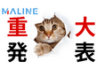 【お知らせ】総合デジタルマーケティングツール『MALINE』BtoC 向けサービス開始日変更について