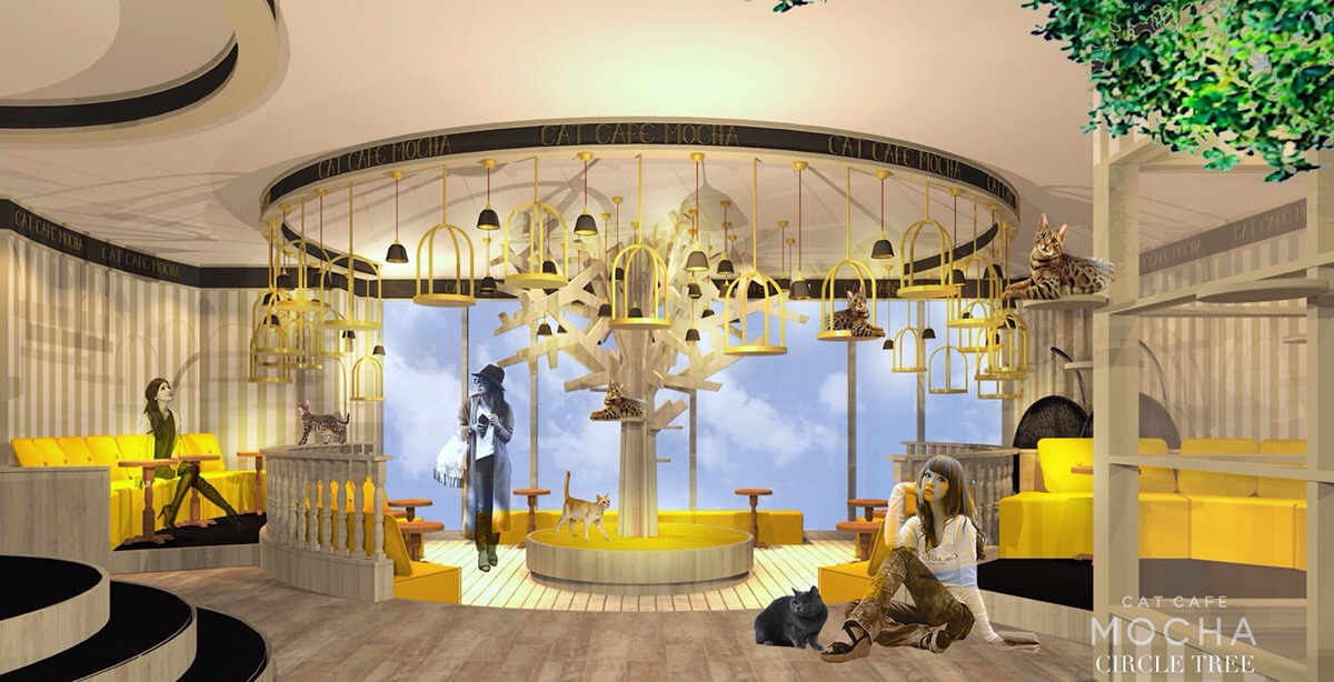 猫カフェmocha京都河原町に4 19newオープン リポット株式会社のプレスリリース 猫カフェmocha京都河原町に4 19newオープン リポット株式会社のプレスリリース