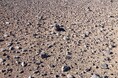 【宇宙探査】地球外生命の痕跡を探る新たな分析技術―マーチソン隕石や火星類似環境の砂漠試料でも実証―（大阪大・産研）