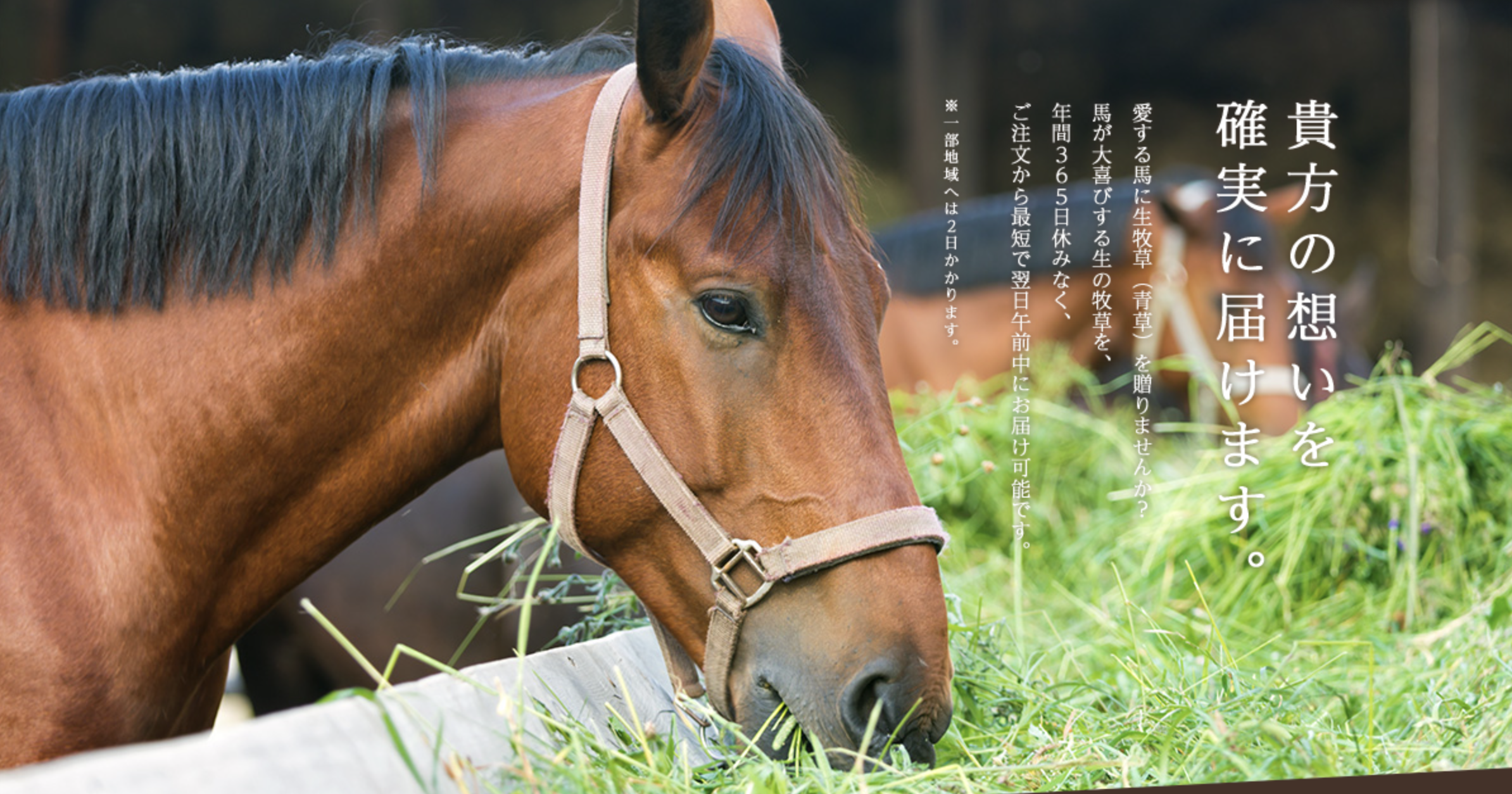 引退馬 功労馬をサポートできる寄付サービス 生牧草バンク 22年10月開始 株式会社カヤックのプレスリリース