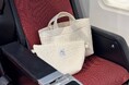 【JAL×pionunnal】大好評のコラボレーションが再登場!