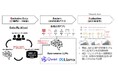 Trans-N、ChatGPTにロックインされない企業向けシステム開発の提供を開始