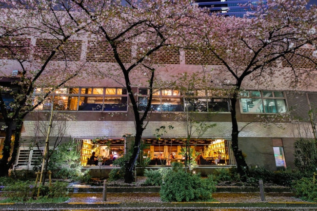 モンスーンカフェG-zone銀座店(桜）