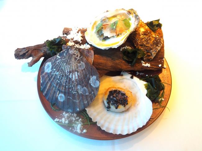 OYSTER & SCALLOP