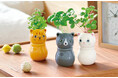猫の日に合わせてギフトにいかが?ネコが喜ぶ植物を育てるキットから陶器製のネコでハーブを育てるキットまで。2025春夏の聖新陶芸は「ねこまみれ」の栽培セットをラインアップ。2025年1月27日発売開始
