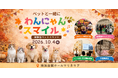 【横浜 ペットイベント】入場無料・屋内開催「第7回 わんにゃんスマイルフェス」10月4日（日）開催！犬種別オフ会＆ハロウィン仮装オフ会も実施