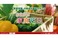 2/20 AIと気象データを活用した「家庭菜園の栽培管理ソフト」発売