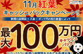 【新規口座開設限定】11月紅葉最大100万円キャッシュバックキャンペーン!を実施