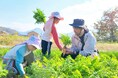 【フェアフィールド・バイ・マリオット 道の駅プロジェクト】夏の朝の“おいしい体験” 農業体験&畑で朝ごはんイベントを7月13日(日)開催!